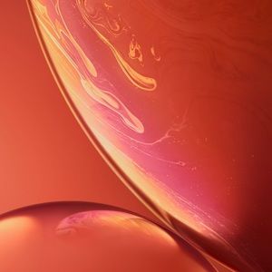 Meet your Posher, Sally